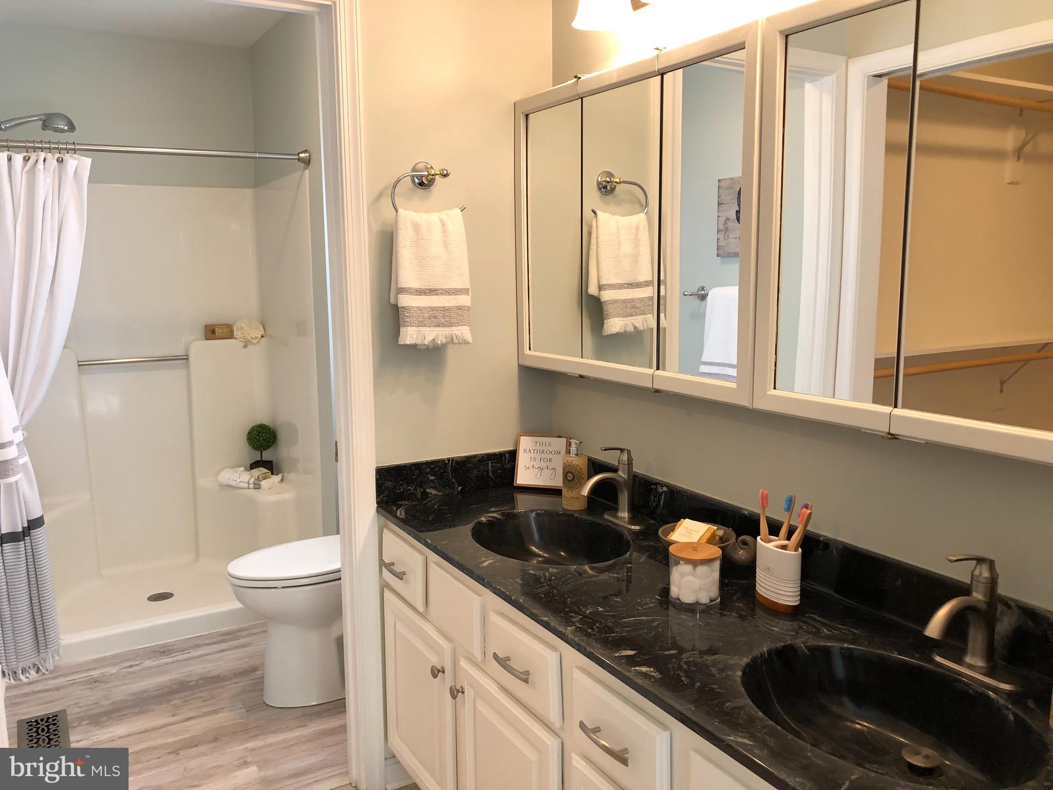 222 Birdie Road Locust Grove, VA 22508 - Photo 37 of 66 Spa-like bath!