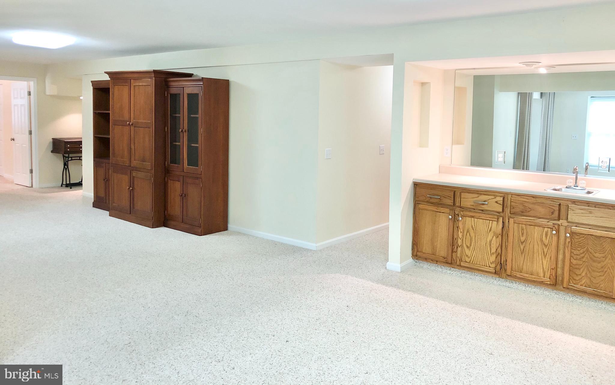 222 Birdie Road Locust Grove, VA 22508 - Photo 47 of 66 Huge Finished Basement!
