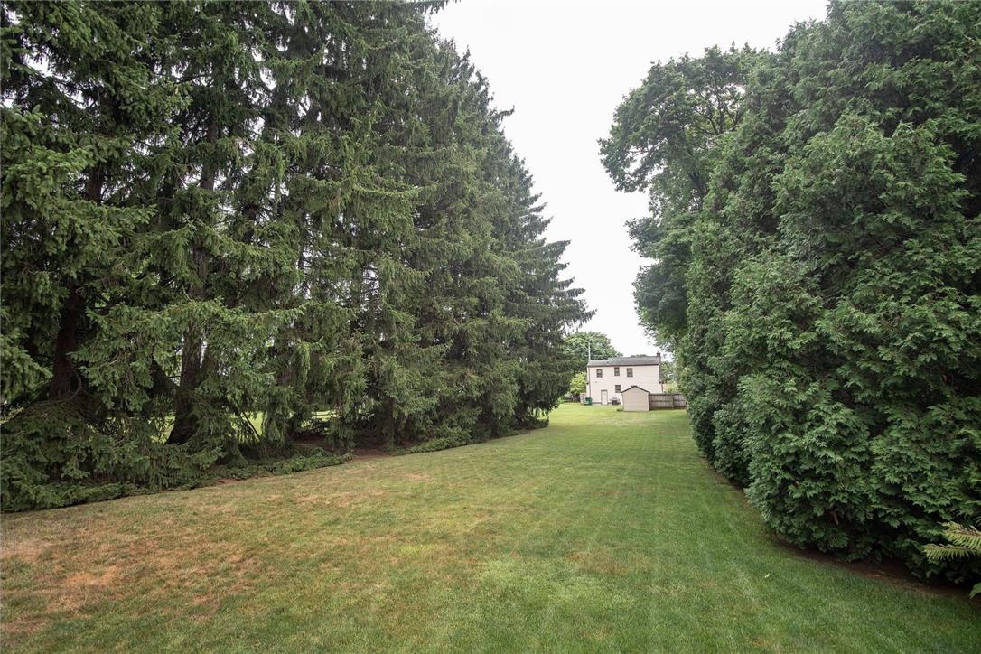 706 Stones Crossing Road Easton, PA 18045 - Photo 39 of 40 A very deep green lawn stretches between tall, dense privacy hedges, leading to a distant structure.