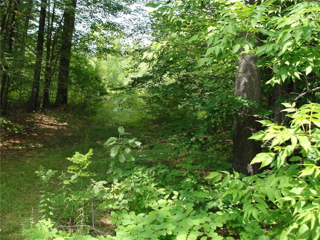 0 South Bridgton Road Bridgton, ME 04009 - Photo 1 of 11 Photo