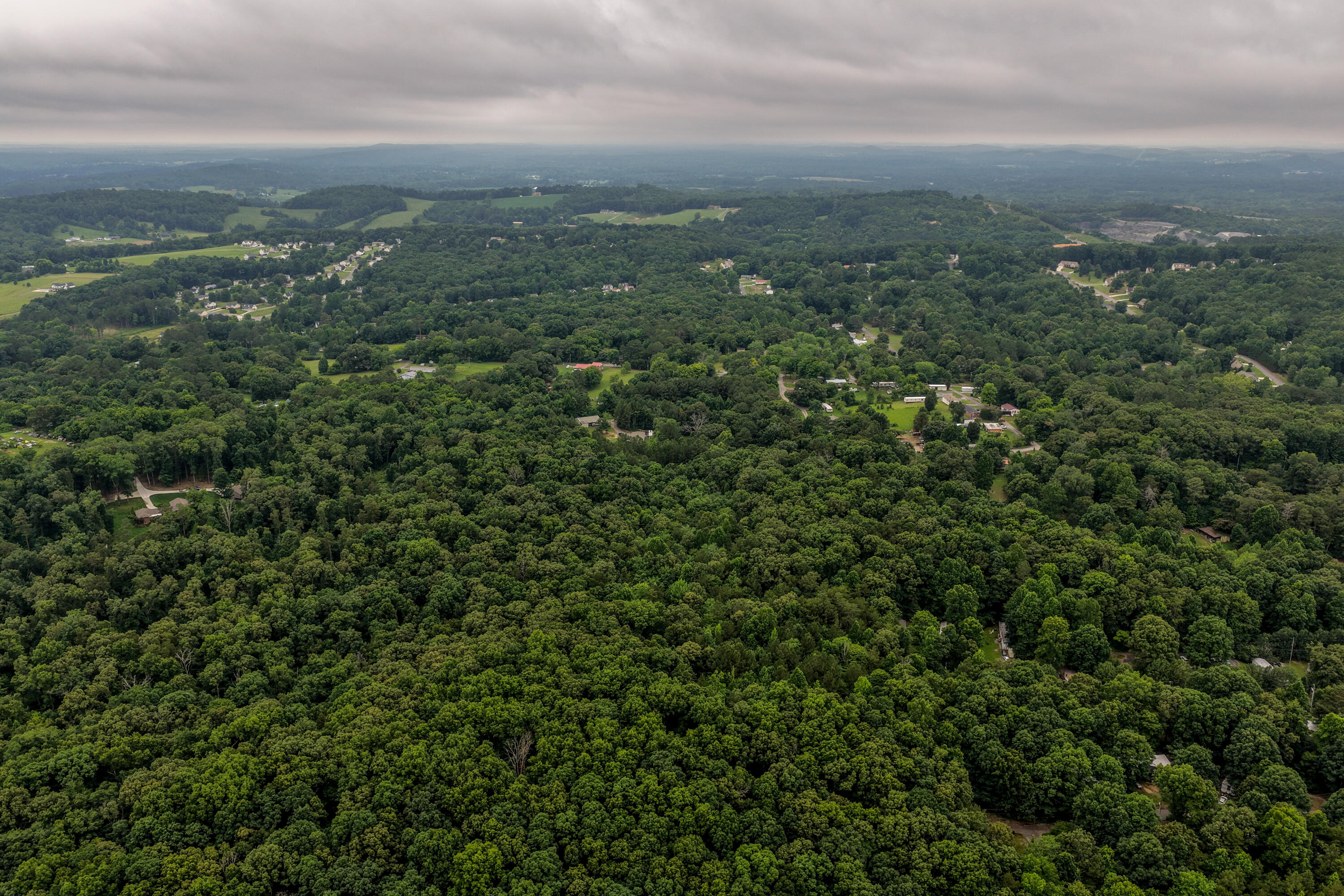 4475 Bates Pike Southeast Cleveland, TN 37323 - Photo 9 of 15 Bates-8