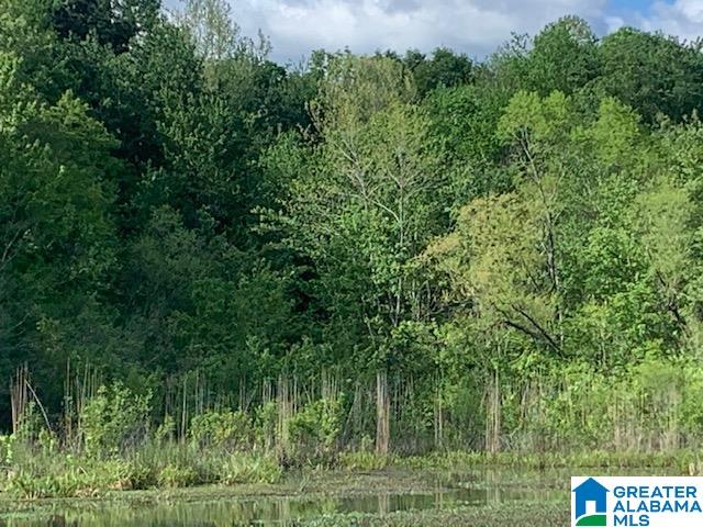 Ferry Road Childersburg, AL 35044 - Photo 3 of 3