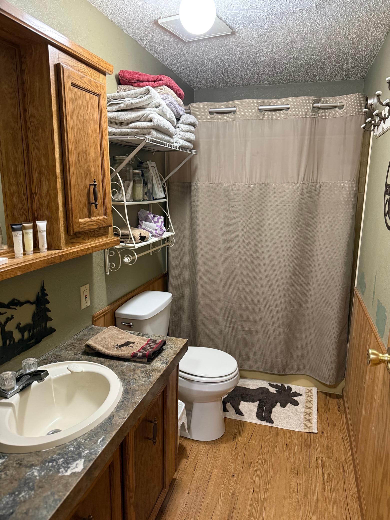 22880 Sunny Beach Road Northeast Kelliher, MN 56650 - Photo 16 of 71