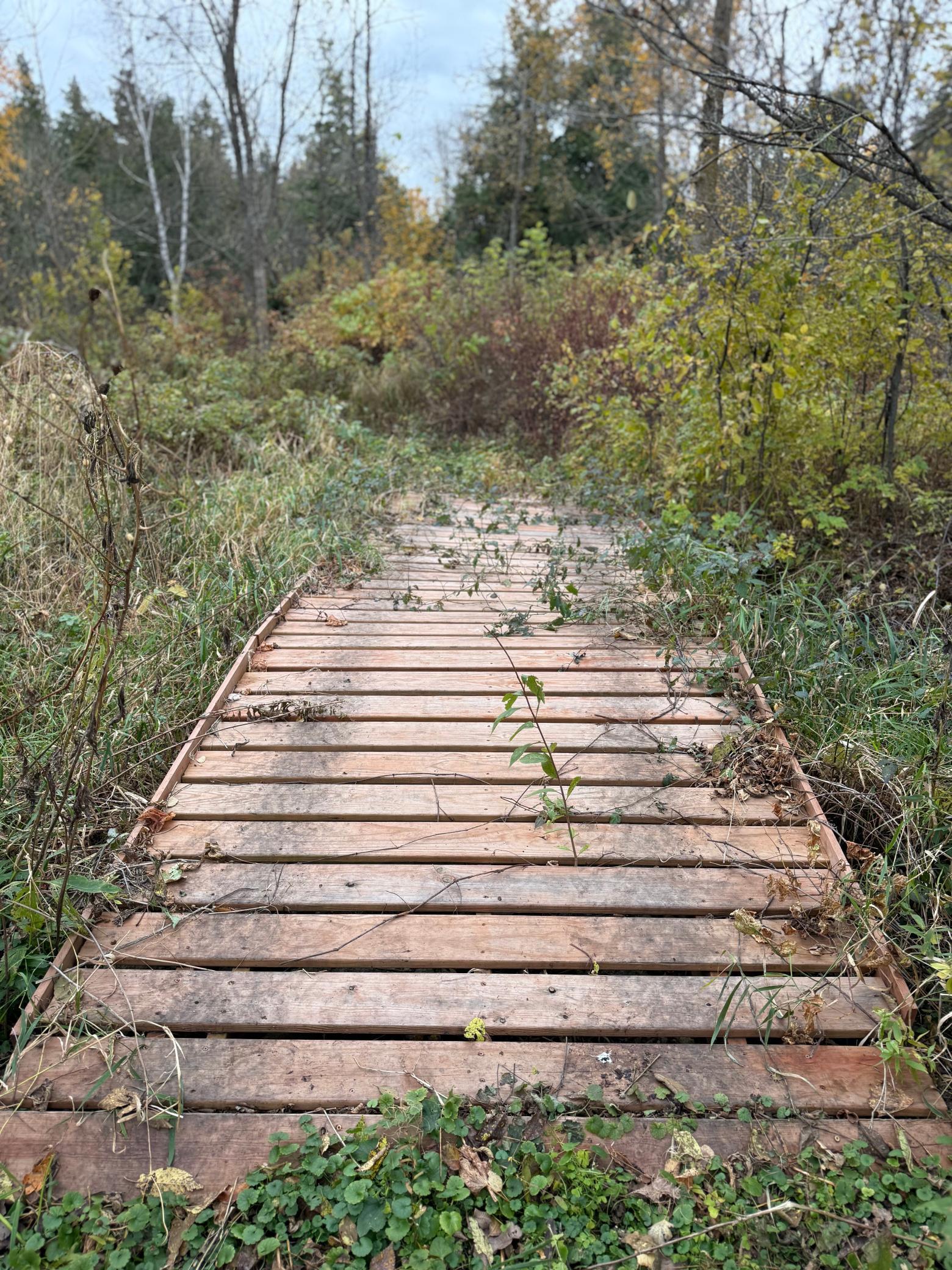 22880 Sunny Beach Road Northeast Kelliher, MN 56650 - Photo 53 of 71