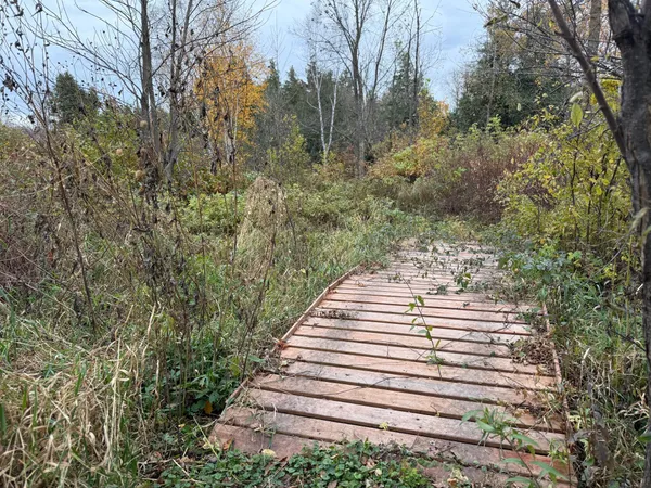 $355,000 | 22880 Sunny Beach Road Northeast, Kelliher, MN 56650