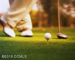 914 Williams Road New Bern, NC 28562 - Photo 25 of 32 25-Area Golf
