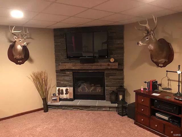 13339 Iberg Road Highland, IL 62249 - Photo 6 of 33
