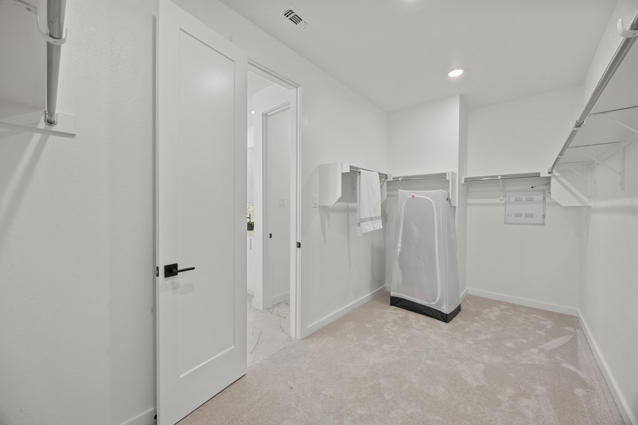 6000 Sean Paul Lane Georgetown, TX 78628 - Photo 20 of 35 Walk in closet with light carpet