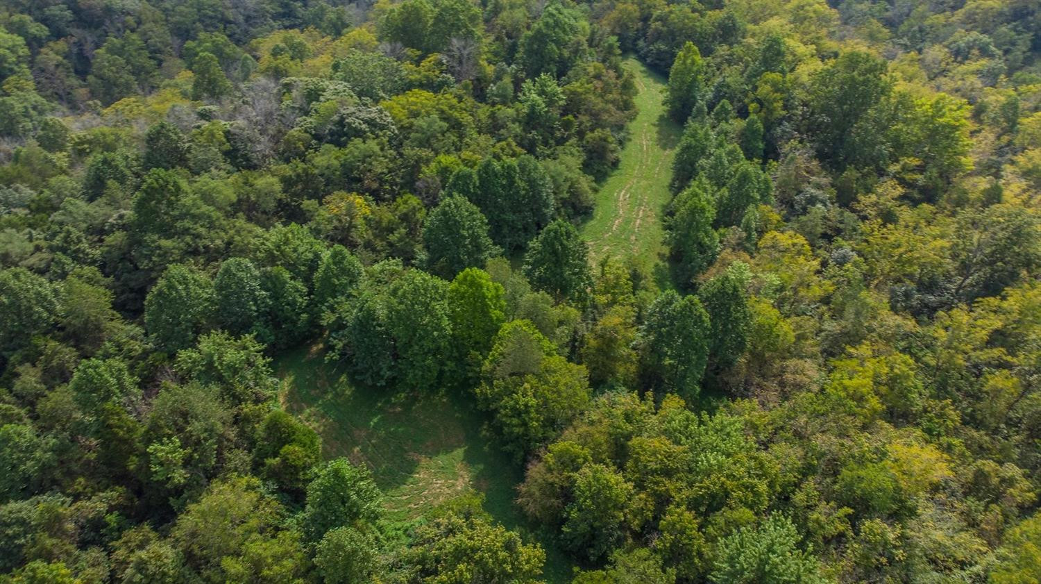 1340 Taylor Ridge Road Nicholasville, KY 40356 - Photo 2 of 19 Photo 2