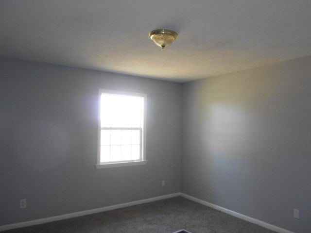 321 Fodie Road Quitman, GA 31643 - Photo 6 of 48 Gallery Image 6