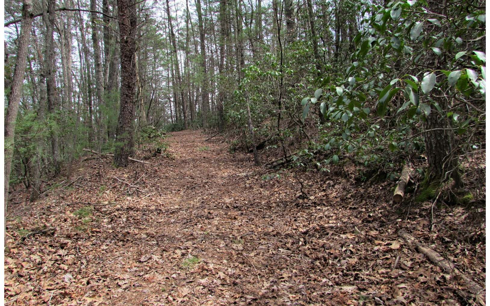 Turniptown Road Ellijay, GA 30536 - Photo 2 of 4 Additional View