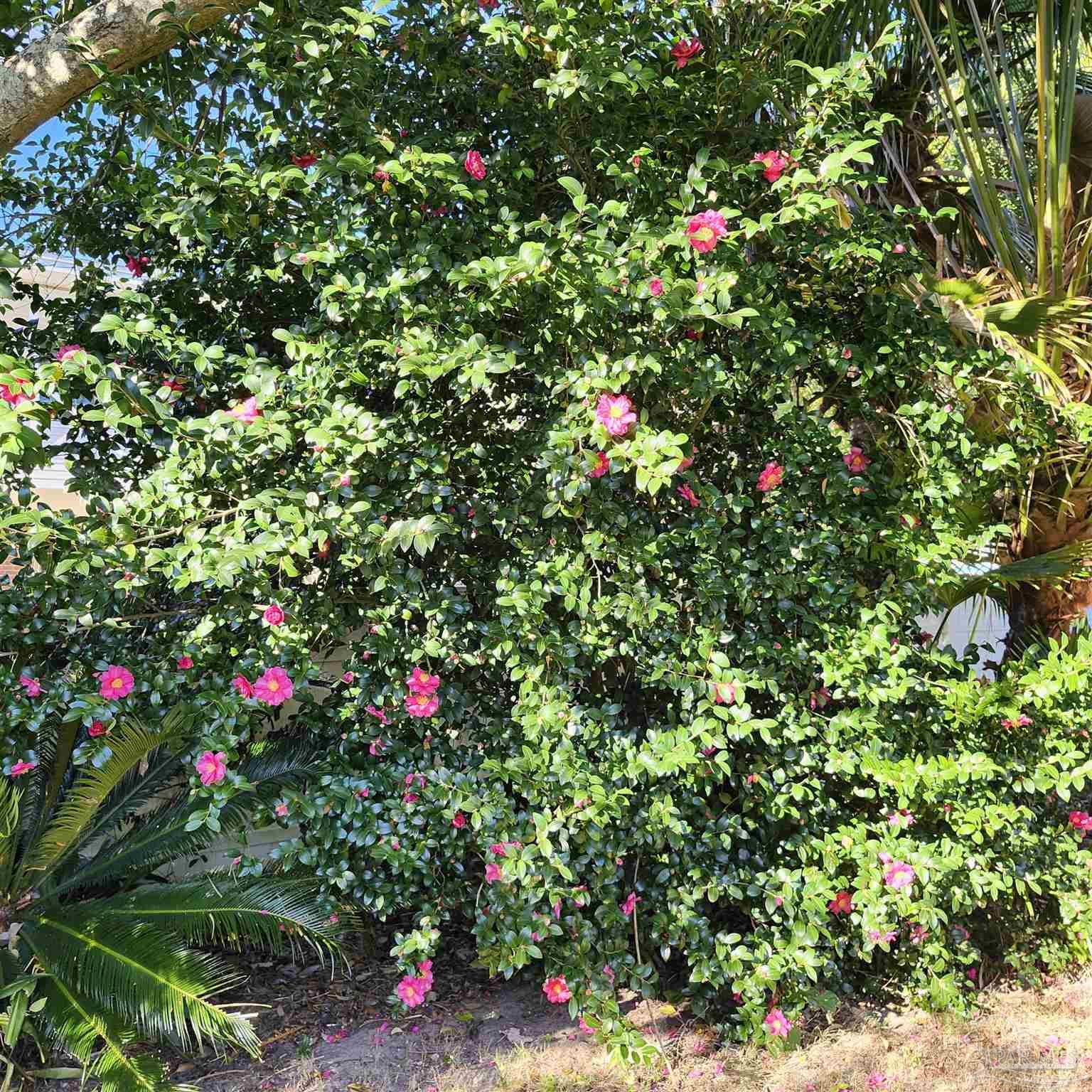 371 Silver Road Pensacola, FL 32503 - Photo 34 of 34 Gallery Image 34