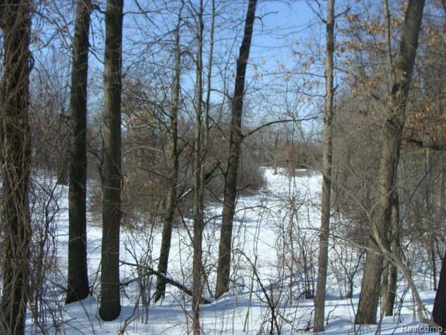 0 Nakomis Road Lake Orion, MI 48362 - Photo 9 of 12 484 Cushing-Nakomis 038.jpg