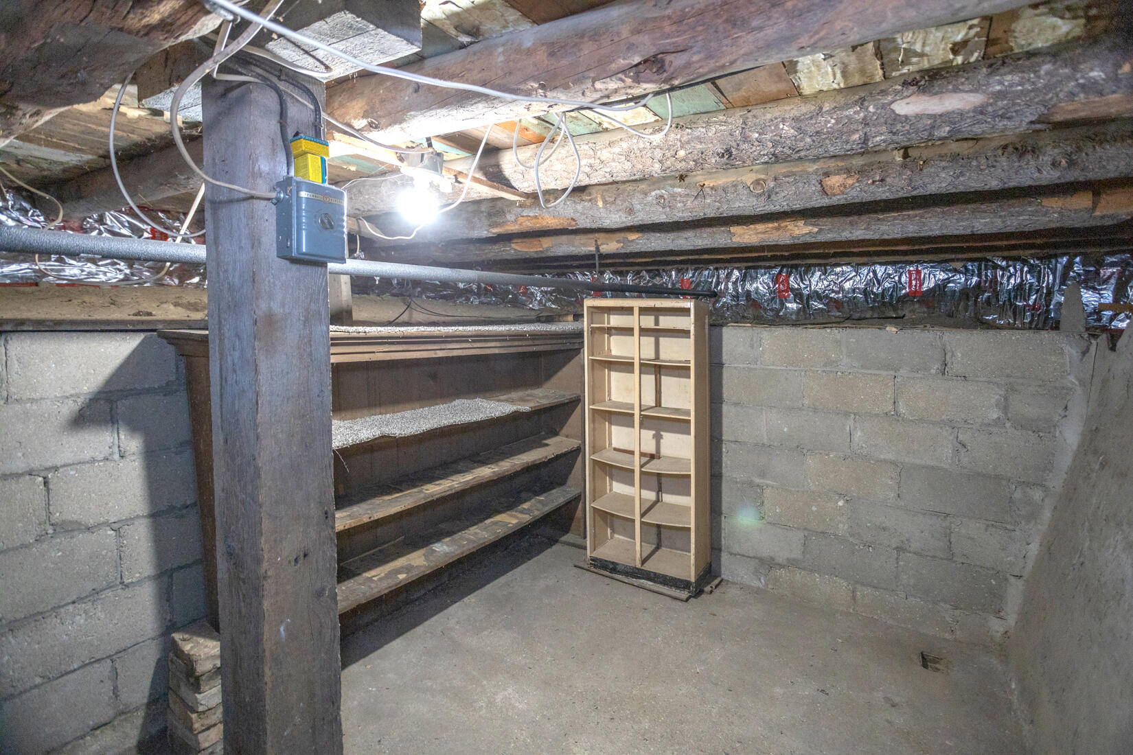 272 Scott Street Morley, MI 49336 - Photo 30 of 45 IMG_5491