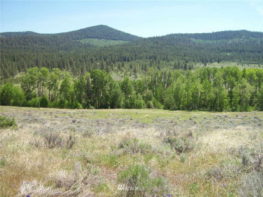 -west WEST Crosswinds Road Tonasket, WA 98855 - Photo 3 of 4 Gallery Image 3