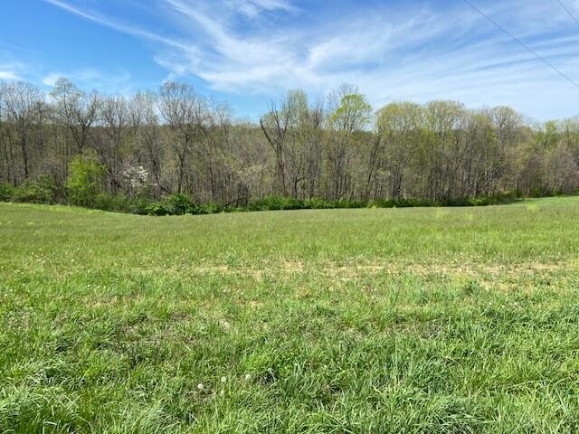 326 Doyle Road Brooksville, KY 41004 - Photo 1 of 1 Gallery Image 1