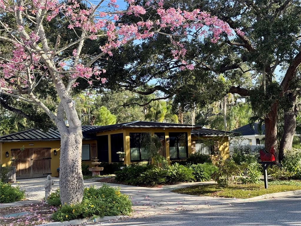 a front view of a house with yard
