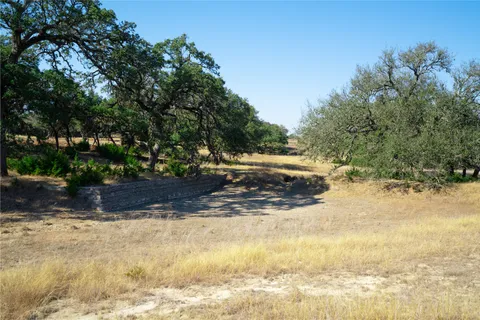 a view of a garden with trees