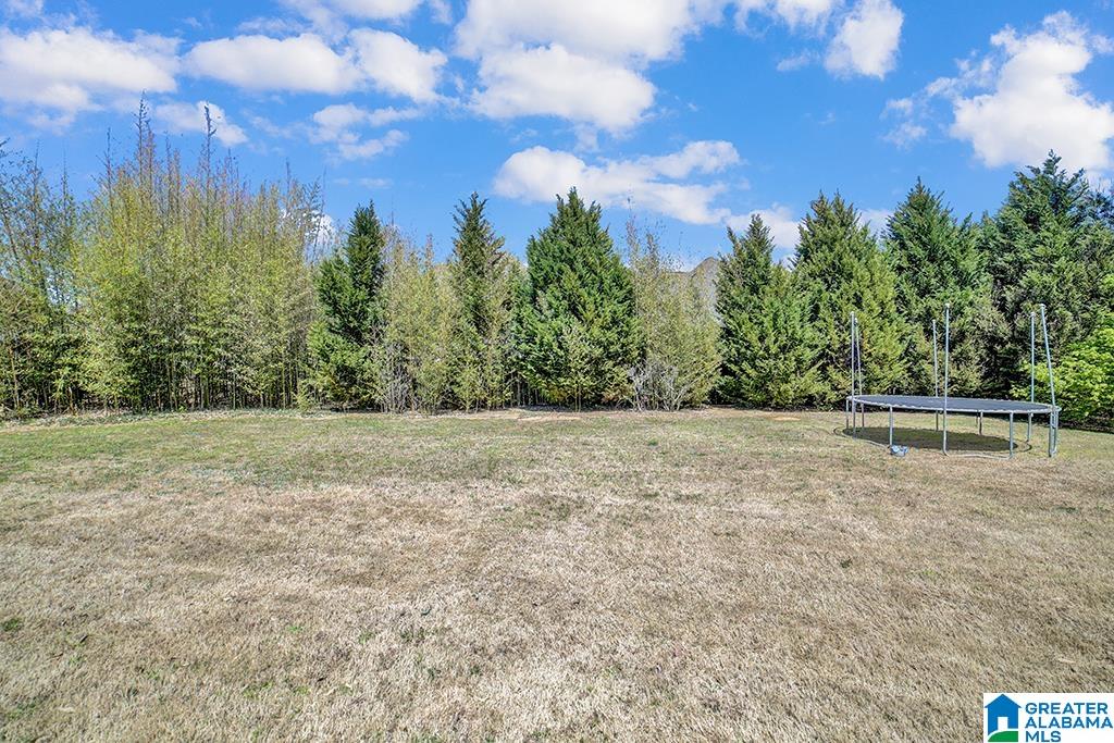 6100 Broadwing Road Trussville, AL 35173 - Photo 24 of 25
