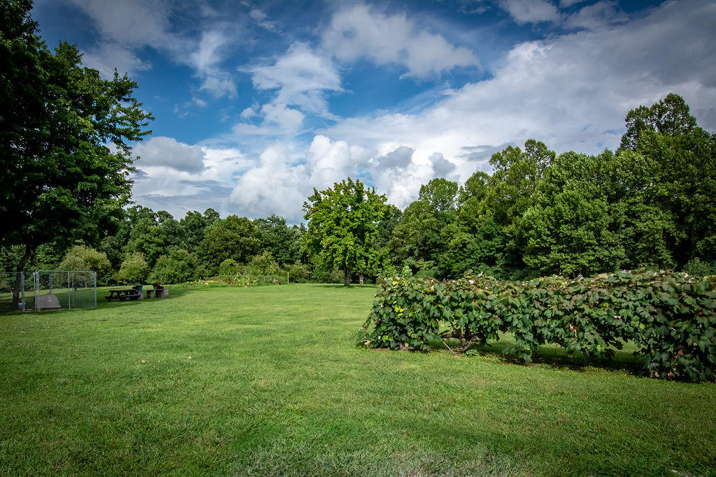 145 Lewis Cross Road Dunlap, TN 37327 - Photo 25 of 50 145LewisCrossRd-1
