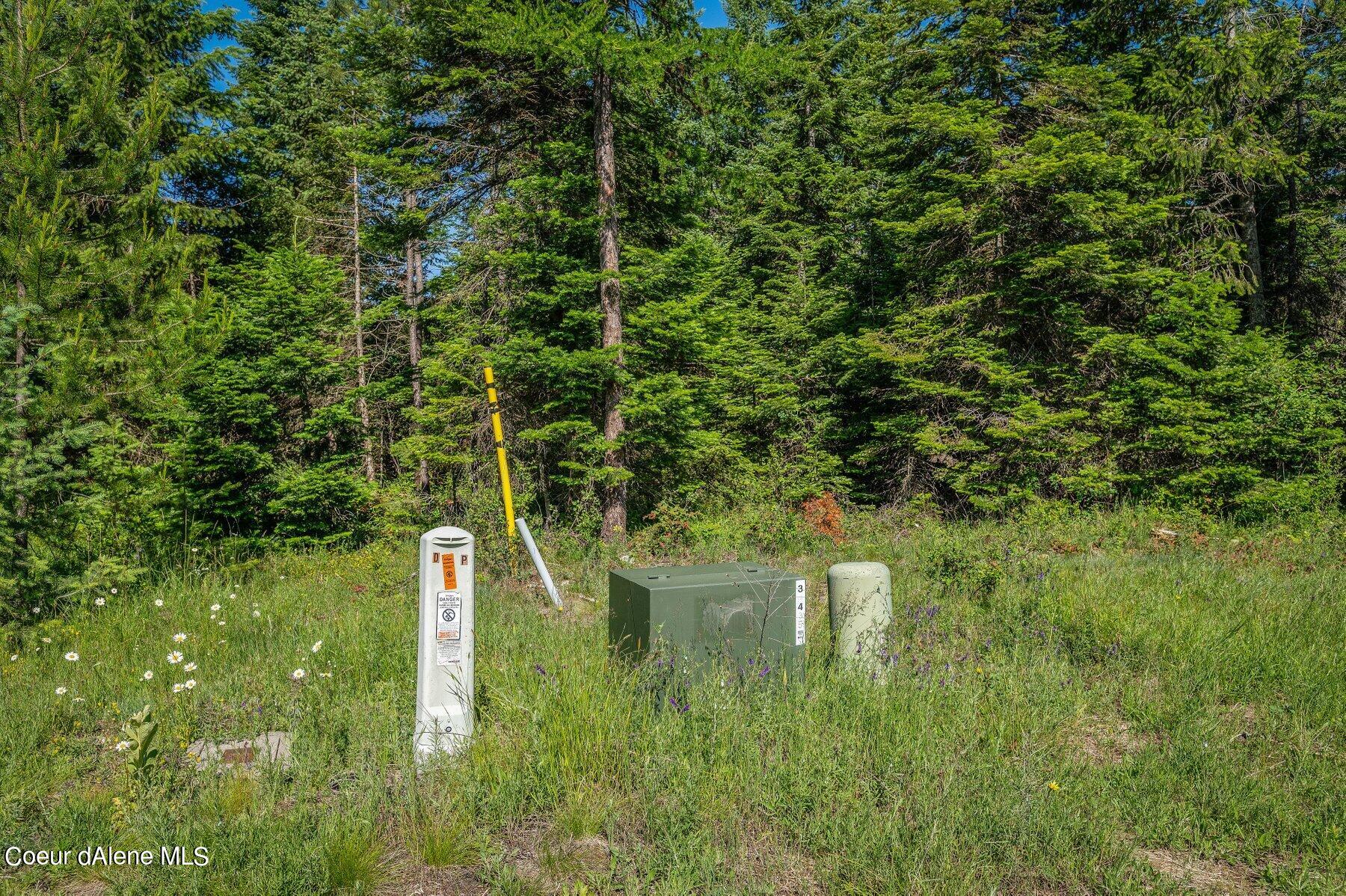 Lot 10 East Riley Loop Athol, ID 83801 - Photo 2 of 25 --2.jpg-SMALL