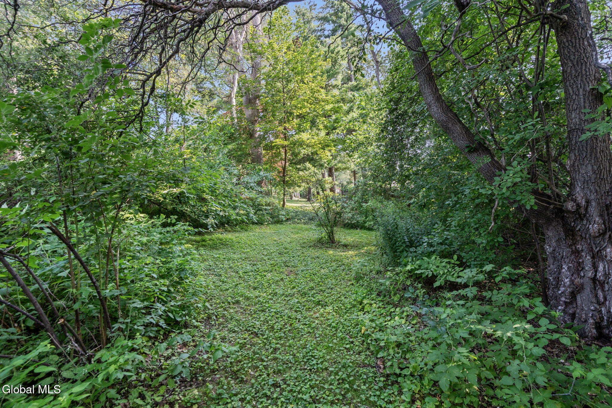 1171 Ruffner Road Niskayuna, NY 12309 - Photo 22 of 33 24-web-or-mls-1171-ruffner-rd