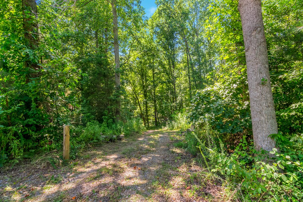 891 Upper Bethany Road Canton, GA 30114 - Photo 14 of 19 Gallery Image 14