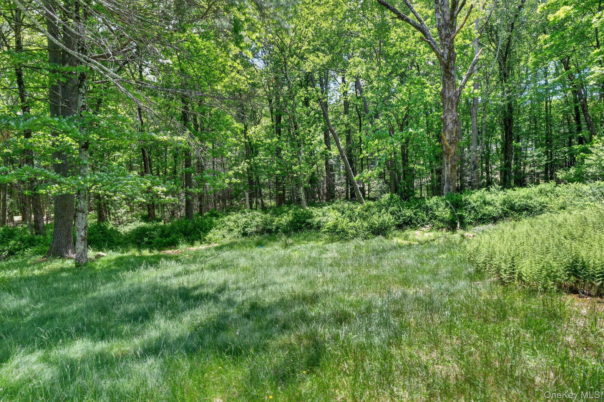 79 Little Road Wurtsboro, NY 12790 - Photo 28 of 33