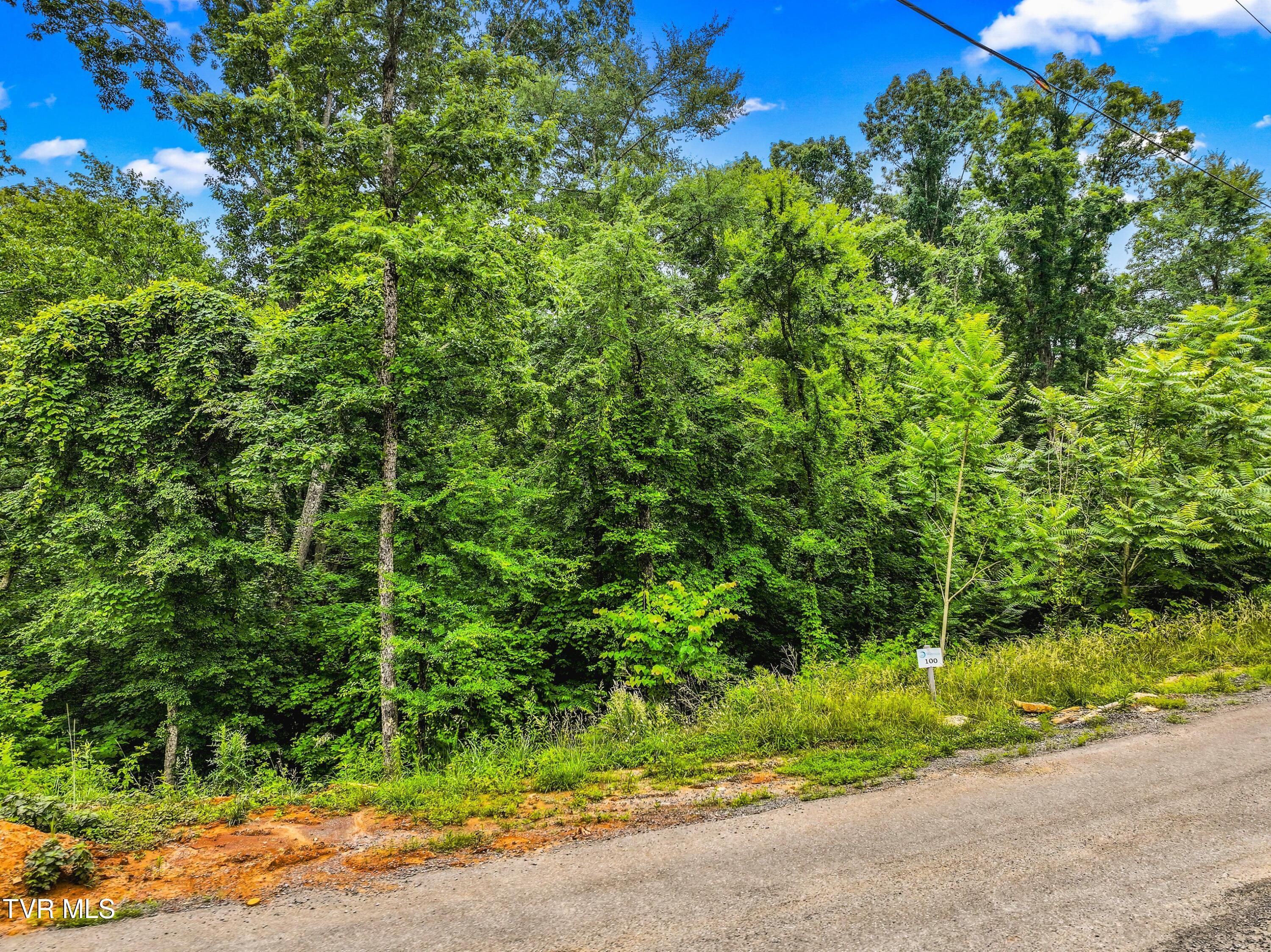 Lot 100 Ridgeline Trail, Unit 100 Dandridge, TN 37725 - Photo 7 of 26 003-RidgelineTrail-Dandridge-TN-37725-SM