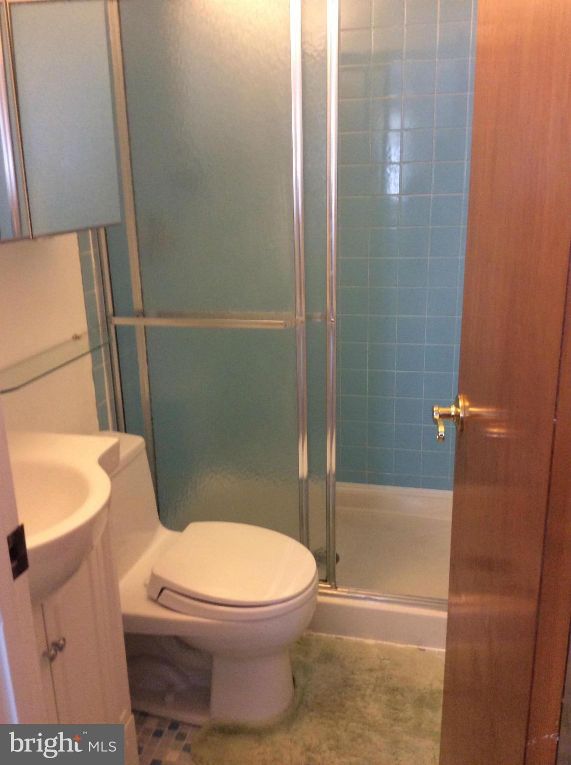 402 Rockway Road Baltimore, MD 21228 - Photo 12 of 26 Master Bath with Shower