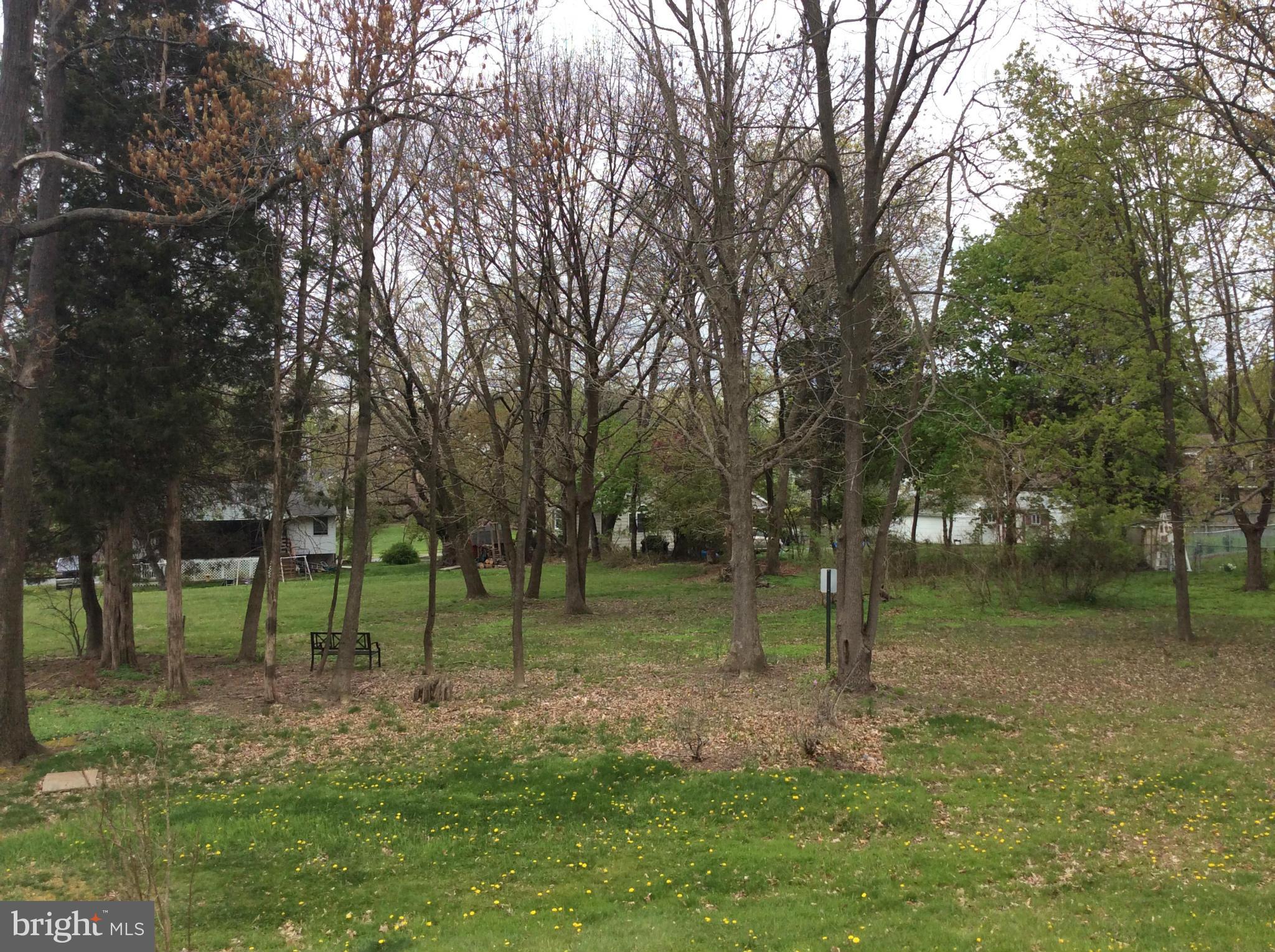 402 Rockway Road Baltimore, MD 21228 - Photo 26 of 26 Wooded view from patio and screened porch