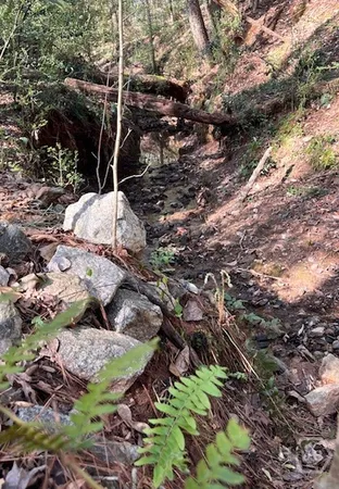 $259,900 | 106 Fernbanks Court, Athens, GA 30605