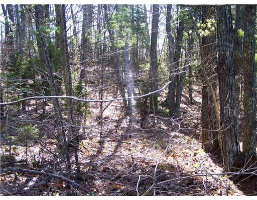 57 Fire Lane Bremen, ME 04551 - Photo 3 of 8 Land.