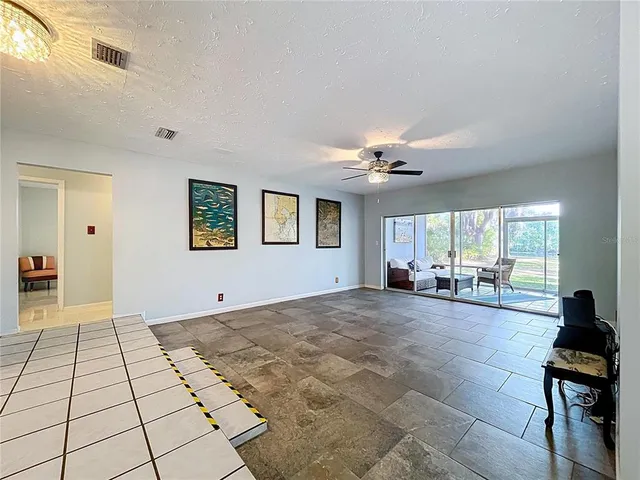 a view of trees and trees in the back yard
