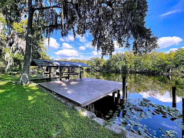 a view of a yard with large trees