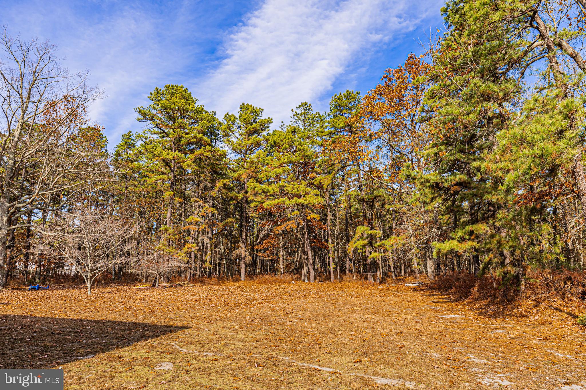 1056 Atsion Road Atco, NJ 08004 - Photo 6 of 24