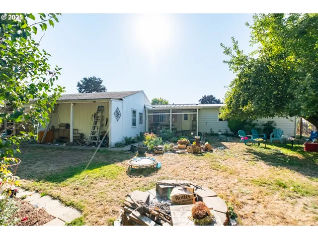 a view of a park with large trees