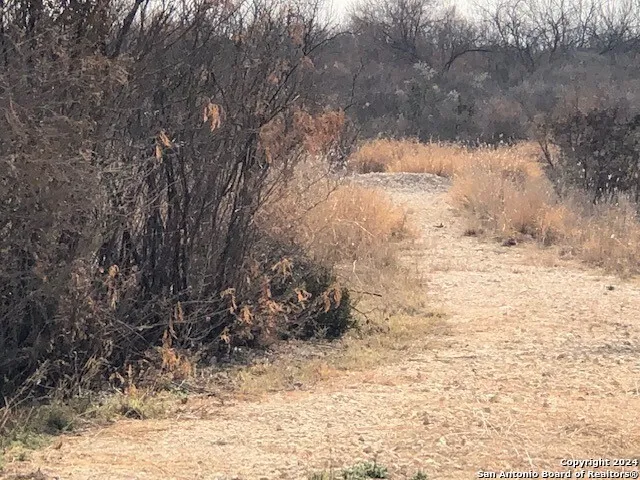 $120,000 | Natus Natus, Fowlerton, TX 78021