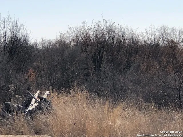 $120,000 | Natus Natus, Fowlerton, TX 78021