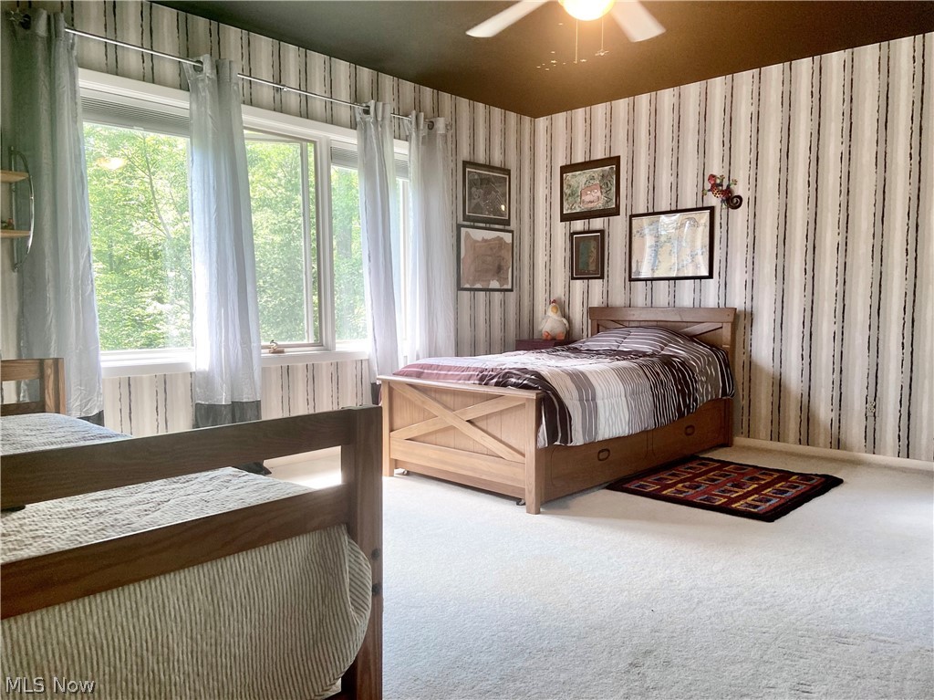 12060 Caves Road Chesterland, OH 44026 - Photo 17 of 35 Gallery Image 17