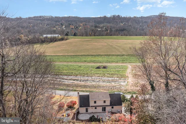 a view of a lake with a mountain