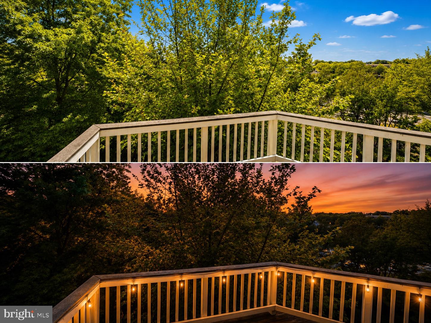 42371 Trellis Square Brambleton, VA 20148 - Photo 58 of 70 Serene Views: Day to Night Transition
