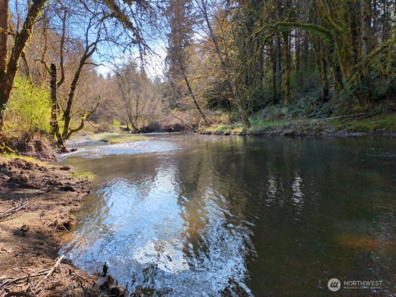 1319 Winlock-Vader Road, Unit 19 Winlock, WA 98596 - Photo 18 of 40