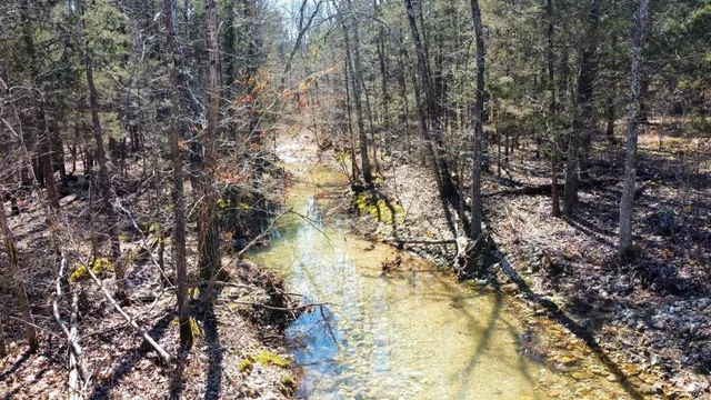 $135,000 | 1 County Road 342, Lesterville, MO 63654