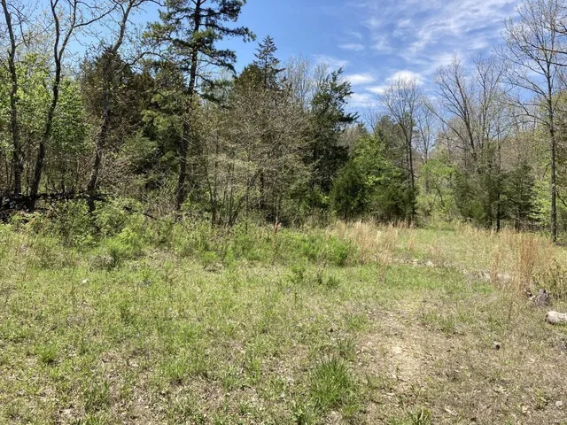 $135,000 | 1 County Road 342, Lesterville, MO 63654