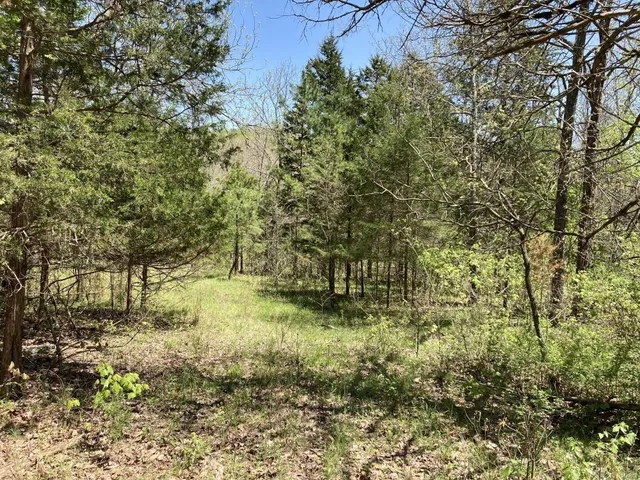 $135,000 | 1 County Road 342, Lesterville, MO 63654