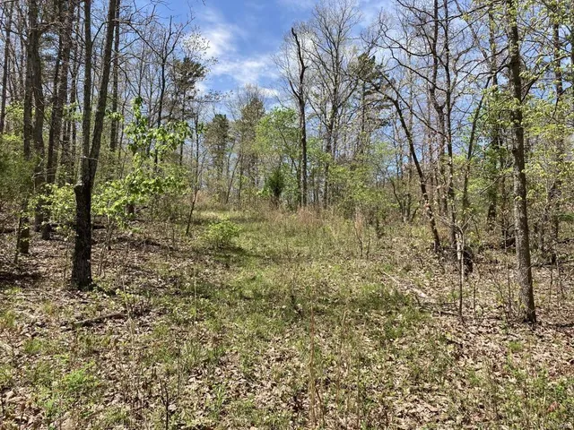 $135,000 | 1 County Road 342, Lesterville, MO 63654