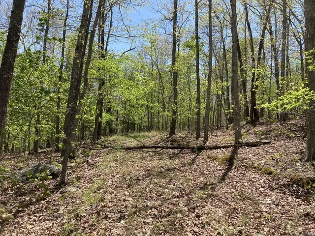 $135,000 | 1 County Road 342, Lesterville, MO 63654