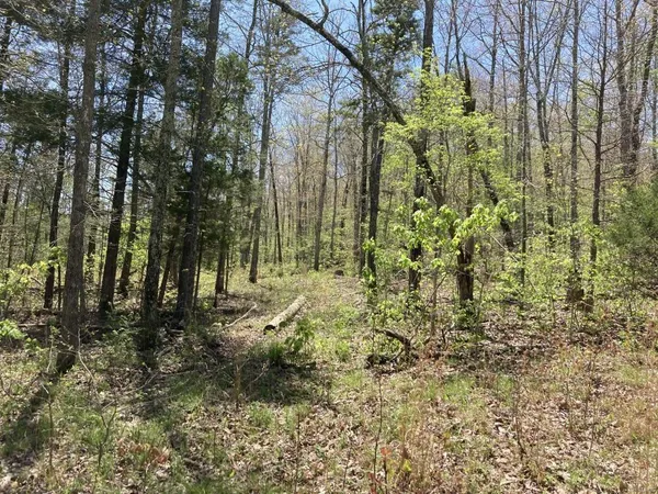 $135,000 | 1 County Road 342, Lesterville, MO 63654