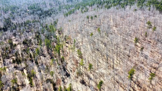 $135,000 | 1 County Road 342, Lesterville, MO 63654